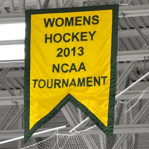 Hockey Appliqued Banner