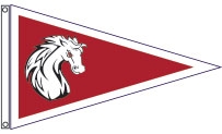 Custom Pennant Flag Example