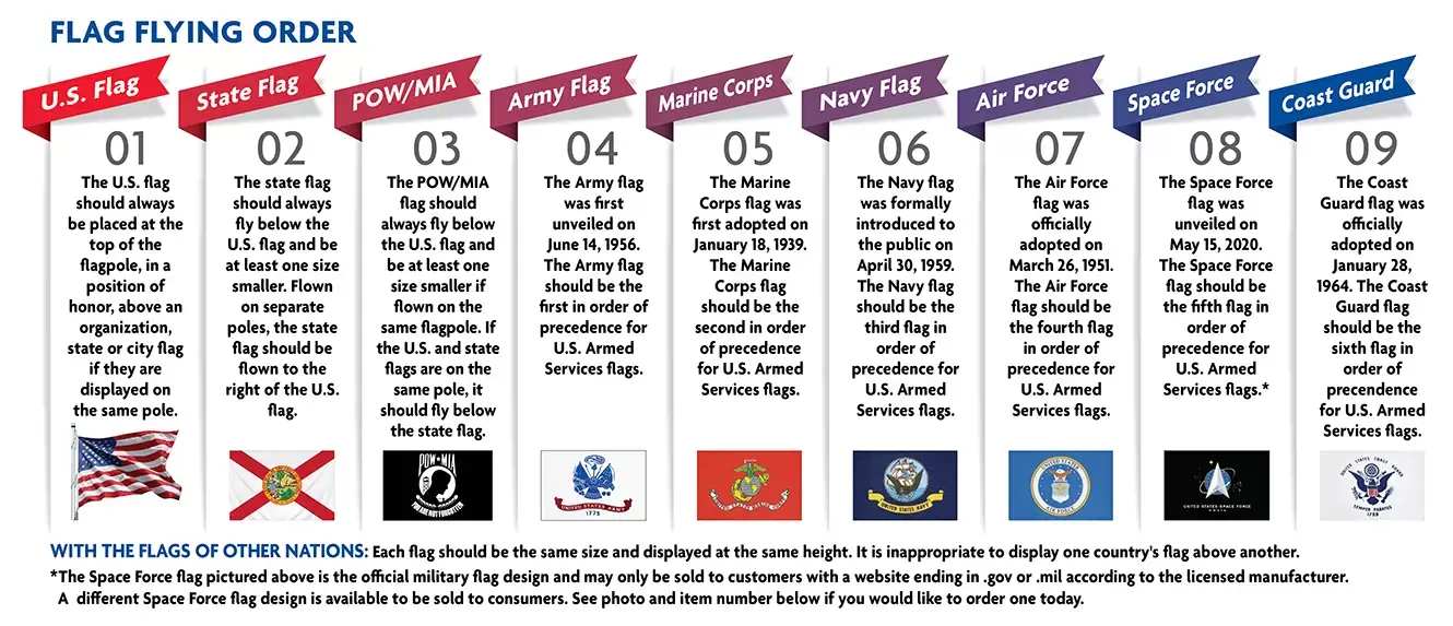 Military Flag Infographic