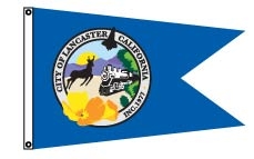 Custom Burgee Flags Example 1
